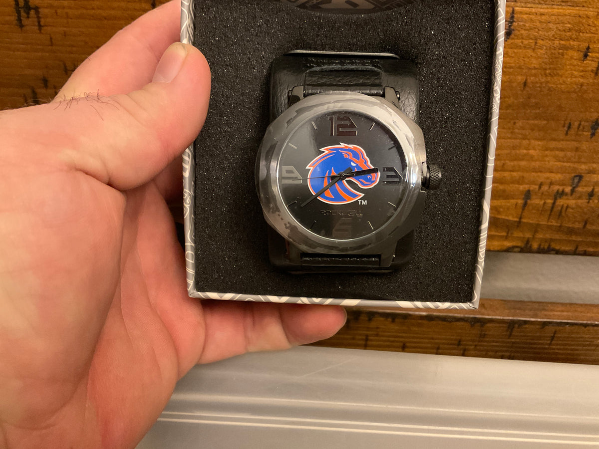 Assassin Boise State